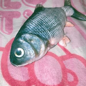 Goofy Realistic Fish Plush